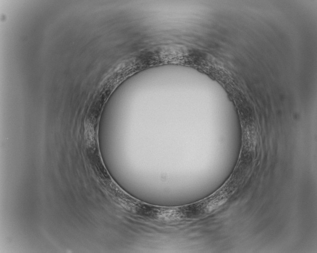 X0000087390705200704271622