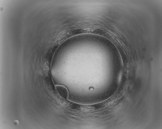 X0000087390707200704271622