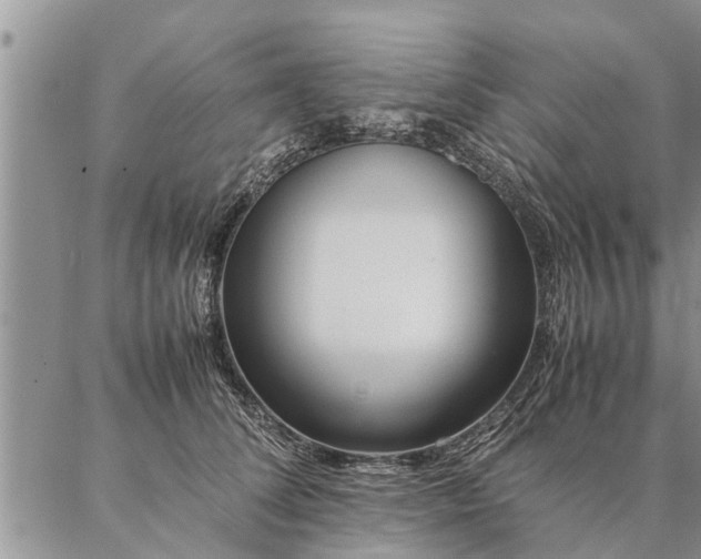 X0000087390708200704271622