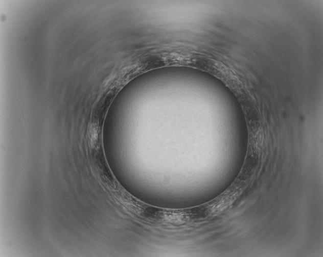 X0000087390709200704271622