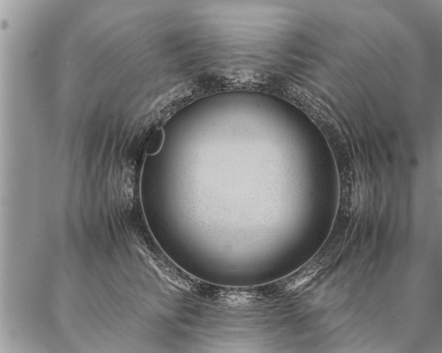 X0000087390710200704271622