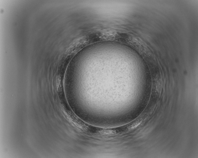 X0000087390711200704271622