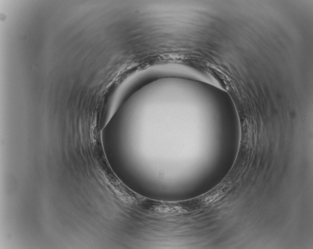 X0000087390712200704271622