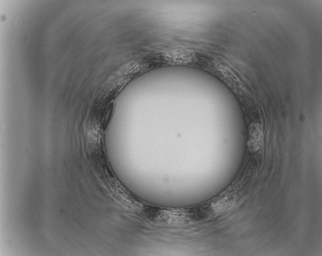 X0000087390713200704271622