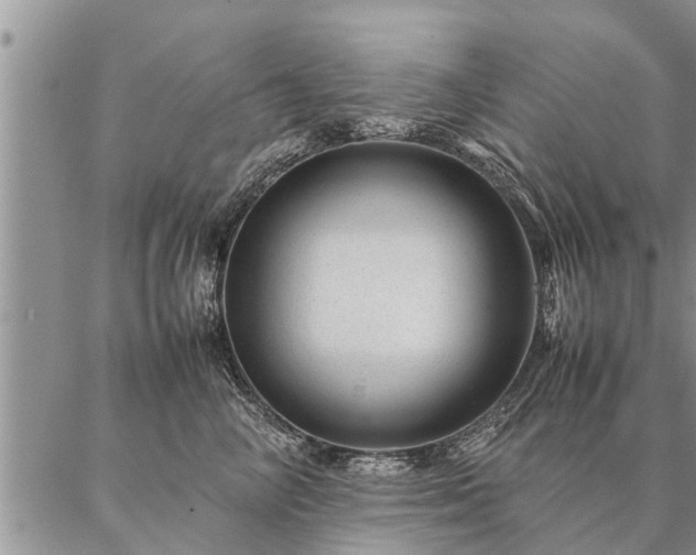 X0000087390714200704271622