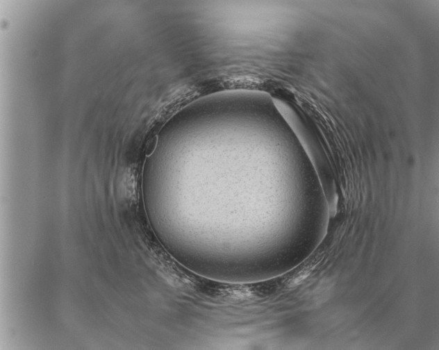 X0000087390715200704271622