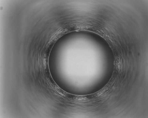 X0000087390716200704271622