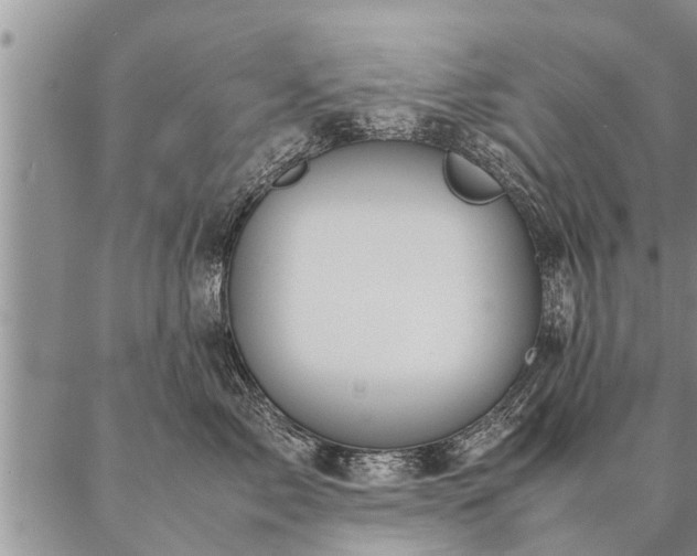 X0000087390717200704271622