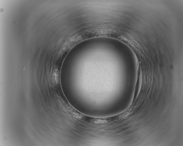 X0000087390718200704271622