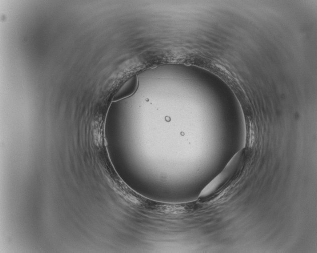 X0000087390719200704271622