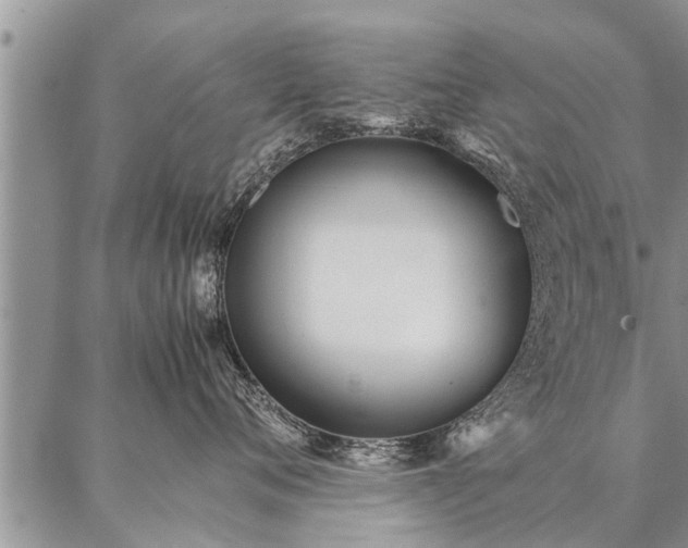 X0000087390720200704271622