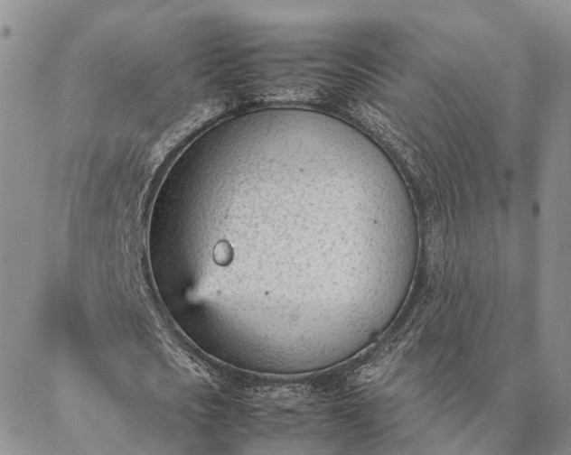 X0000087390721200704271621