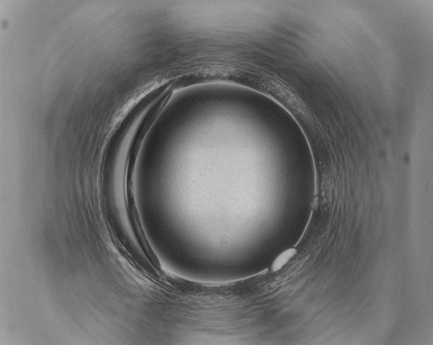 X0000087390722200704271621