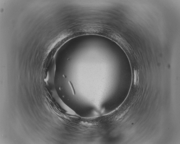 X0000087390723200704271621