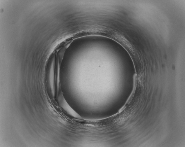 X0000087390724200704271621