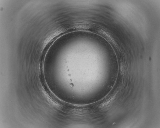 X0000087390725200704271621