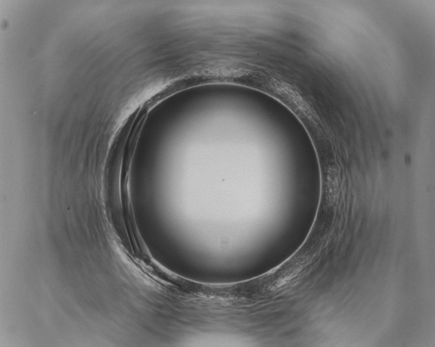 X0000087390726200704271621