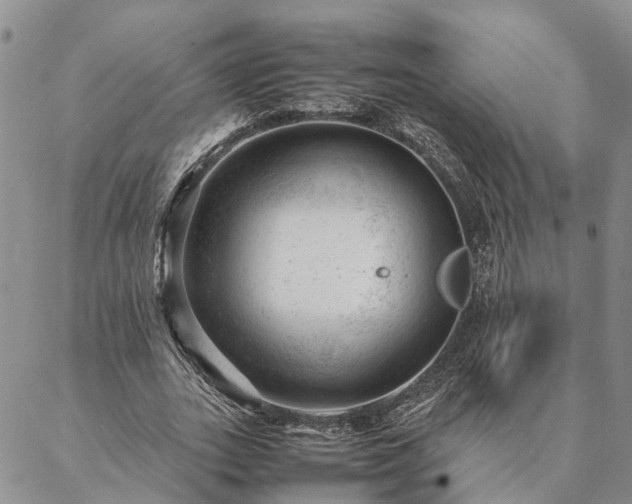 X0000087390727200704271621