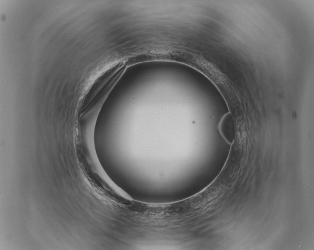 X0000087390728200704271621