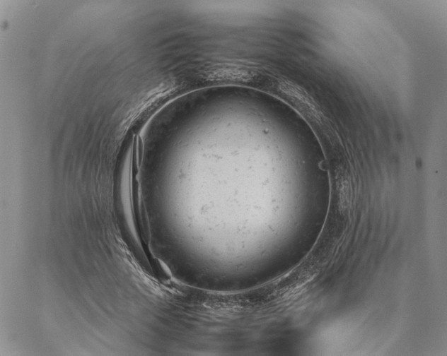 X0000087390729200704271621