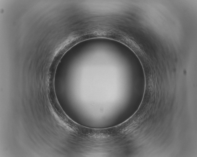 X0000087390730200704271621