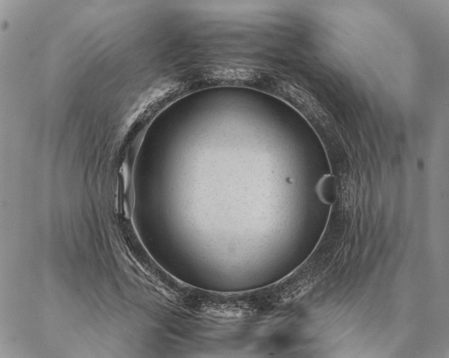 X0000087390731200704271621