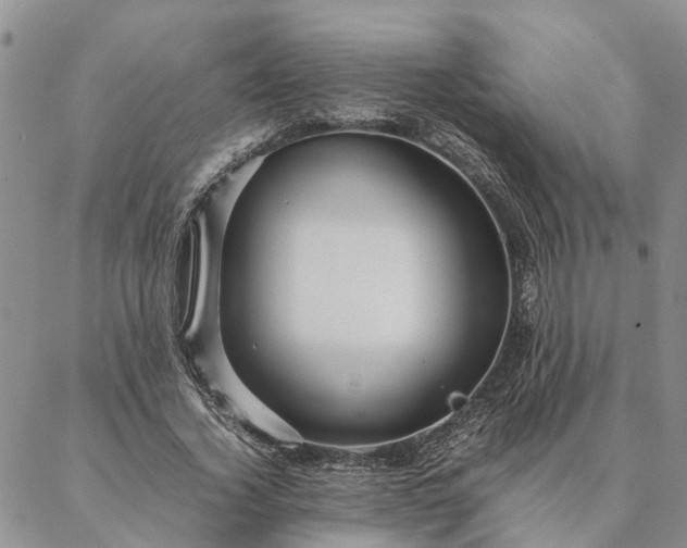 X0000087390732200704271621