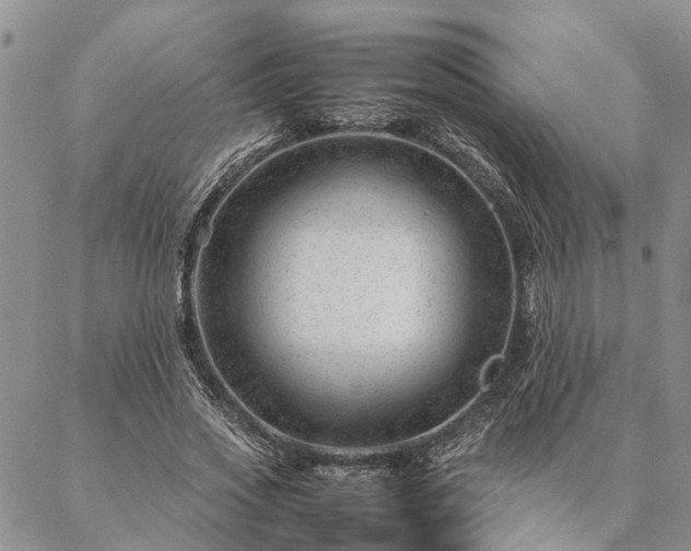 X0000087390733200704271621