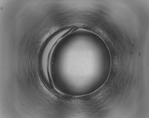 X0000087390734200704271621