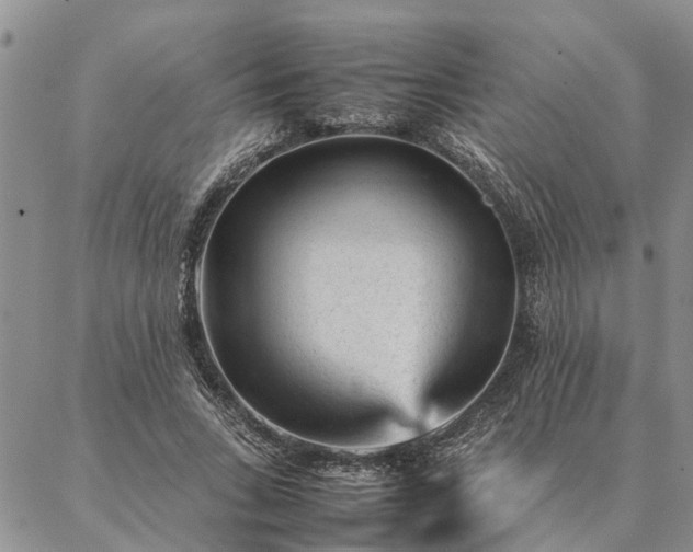 X0000087390735200704271621