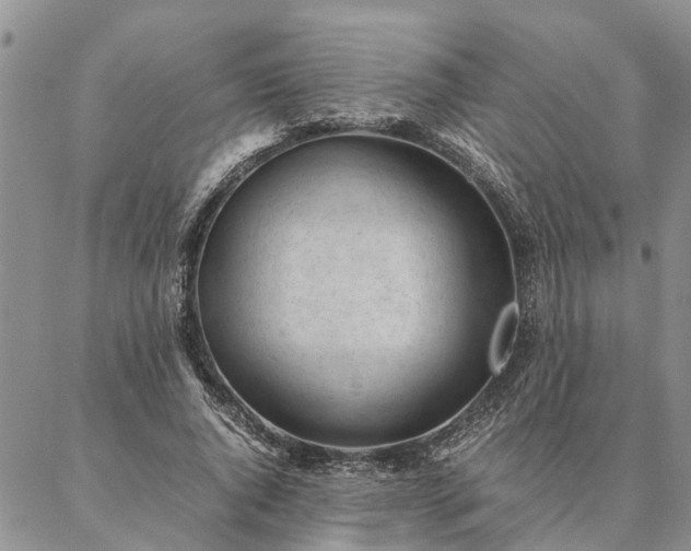 X0000087390736200704271621