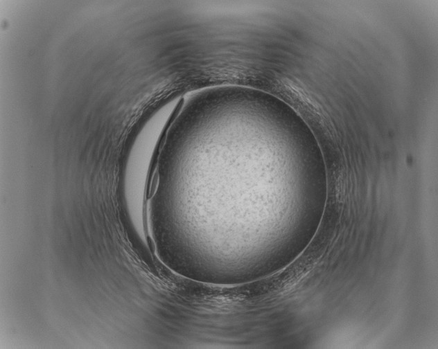 X0000087390737200704271621