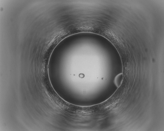 X0000087390739200704271622