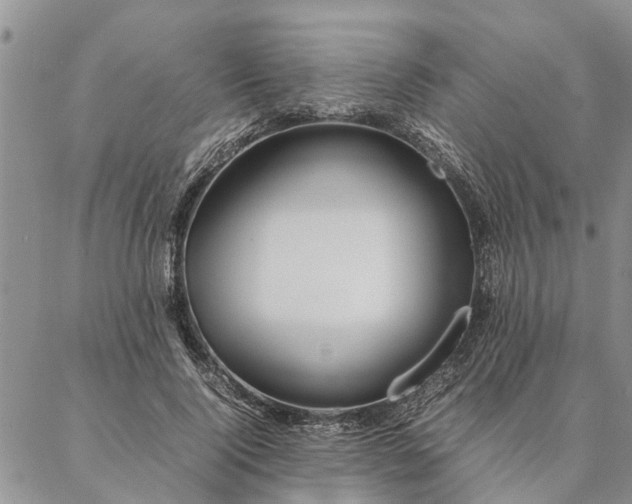 X0000087390740200704271622