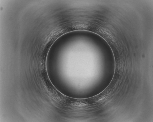 X0000087390743200704271622