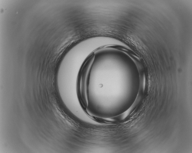 X0000087390744200704271622