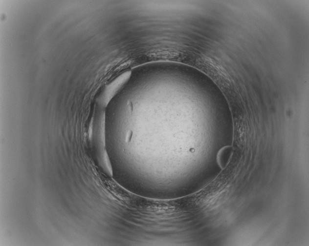 X0000087390745200704271622