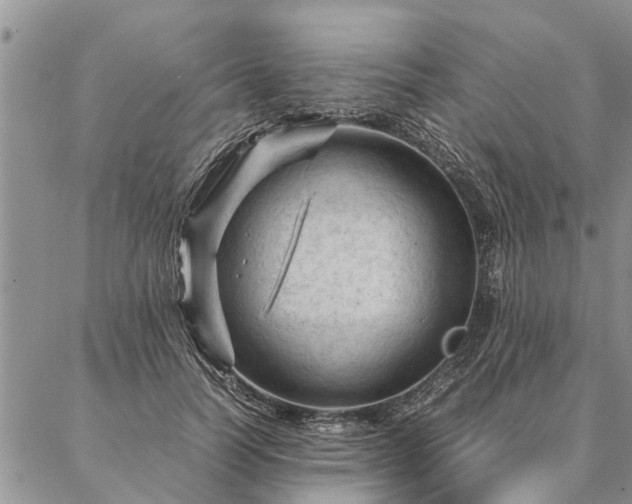 X0000087390746200704271622