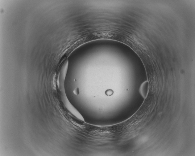 X0000087390747200704271622