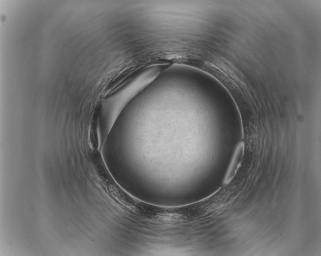 X0000087390748200704271622