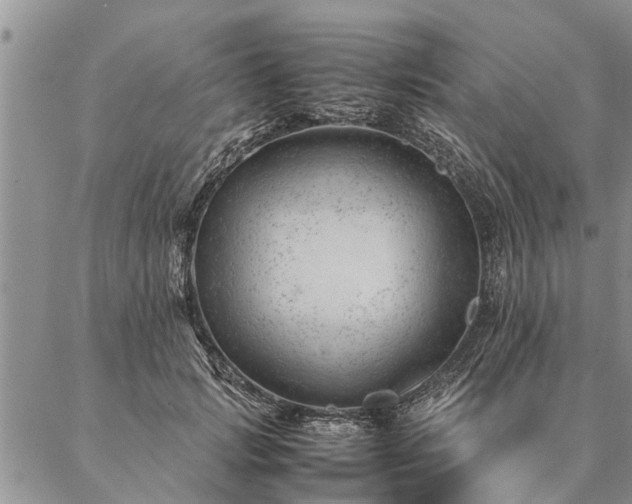 X0000087390749200704271622