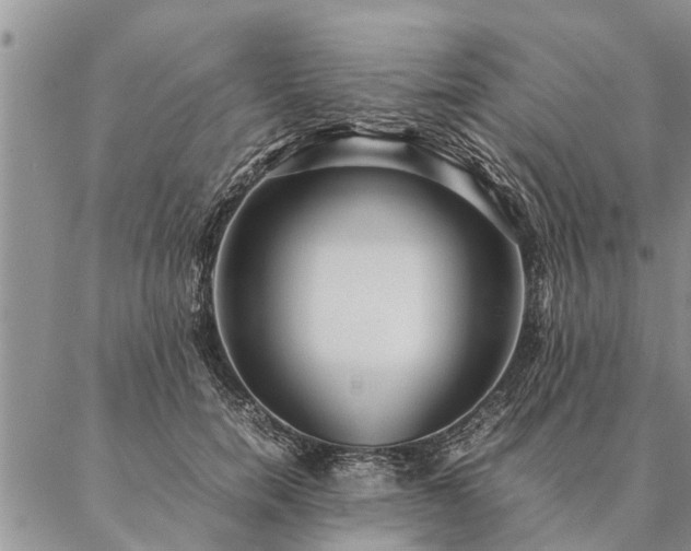 X0000087390750200704271622