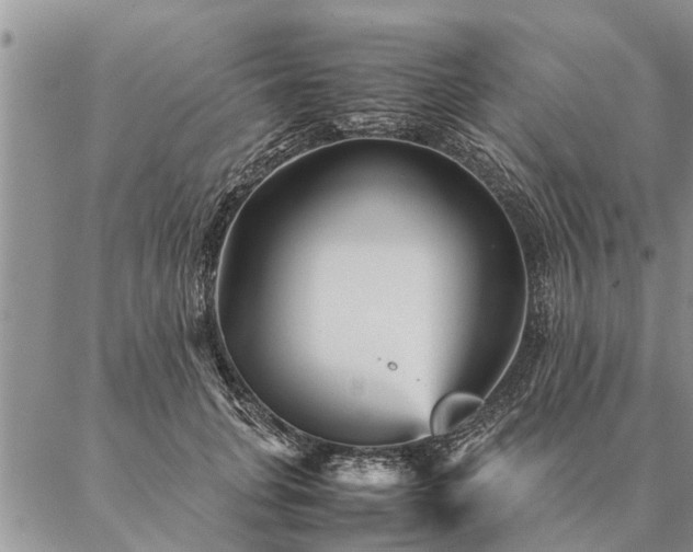 X0000087390751200704271622