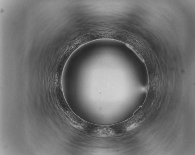 X0000087390752200704271622