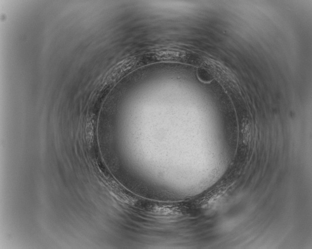 X0000087390753200704271622