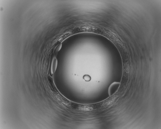 X0000087390754200704271622