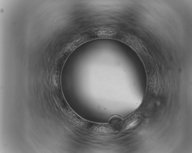 X0000087390755200704271622