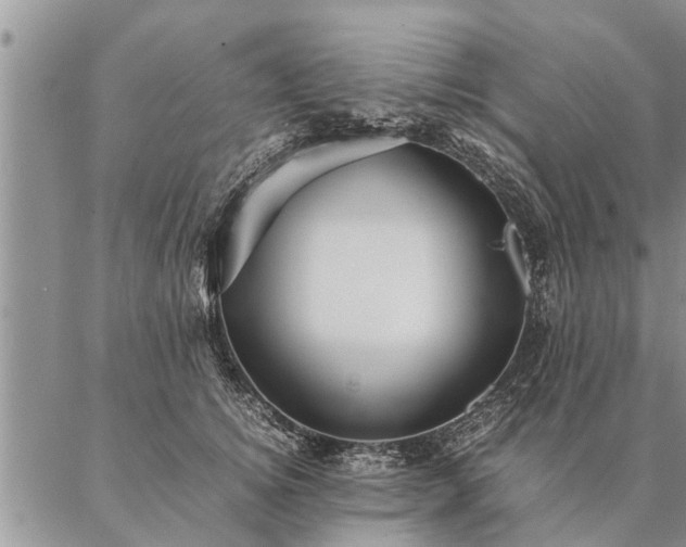 X0000087390756200704271622