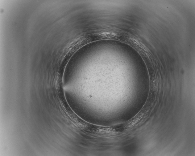 X0000087390757200704271622