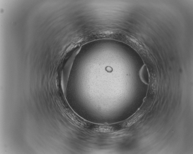 X0000087390758200704271622